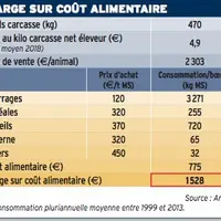 tab résultat boeufs bio ferme des Bordes Arvalis