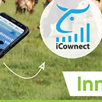 icownect innoval