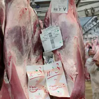 Vente en gros de viande bovine. viande de veau race Limousine origine France au pavillon de la viande du marché international de produits frais de Run