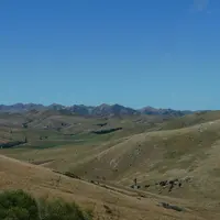 Bovins viande en Nouvelle-Zélande