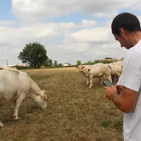 Mickaël Burlaud, pour Boviclic et Synel. « Le fait de retrouver en un clic l’historique sanitaire complet pour chaque animal incite l’éleveur à être d