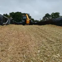 L'ensilage de maïs épi est un aliment riche en amidon et en parois cellulosiques. Son rendement représente environ 60 à 65 % de ce qu’on aurait récolt