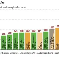 Ruminants : quelle marge à l’hectare pour les différents types de fourrages ?