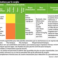 Source : chambre d’agriculture du Gers
