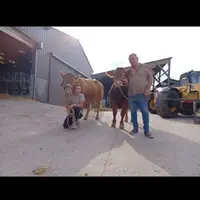Dorian et Stéphane Havé sont installés à Sainte-Croix-sur-Buchy (Seine-maritime) sur 140 ha de SAU dont 45 ha de prairies. Le troupeau compte actuelle