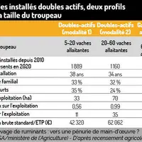 Installation : des double actifs plus âgés que leurs collègues éleveurs à plein temps