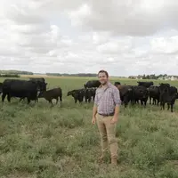 Dès son installation, Fabien Perrot, basé en Eure-et-Loir, a introduit un troupeau allaitant qu’il a calibré de façon à trouver le juste équilibre ent