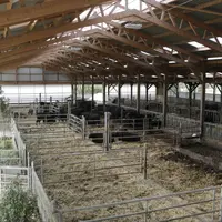 Toutes les stabulations ont été modernisées et réaménagées pour accueillir des bovins allaitants sur paille. Des jardinières ont été placées aux abord