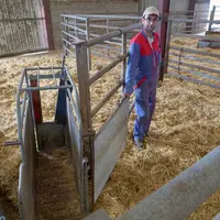Une porte pour la cage à veau et une barrière autoportée pour déplacer les animaux sans se fatiguer