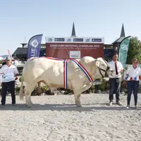 Redoutable décroche le grand prix de championnat mâles, celui de mâles sénior mâles ainsi que le trophée international mâles.