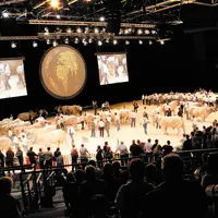 Sommet de l'Elevage. salon agricole. présentation de bovin viande sur le ring. concours d'animaux. public de professionnels. éleveurs, jury et médias.