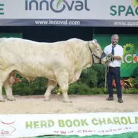 concours space charolaise