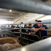 Malgré les turbulences et les évolutions, les opérateurs espagnols seront encore sans nul doute présents aux achats en France dans les années qui vien