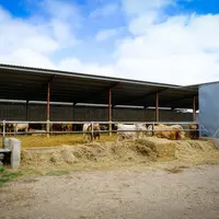 Très pointu sur la biosécurité, Enrique Catalan a opté pour le béton pour séparer complètement les boxes, plutôt que pour les barrières en acier galva