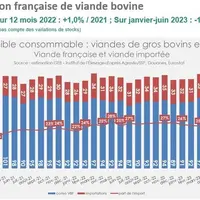 « La consommation de viande bovine se maintient mais descend en gamme » selon Caroline Monniot de l’Idele
