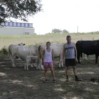 Bernard Malley et Marie Loison, à la tête d’un troupeau de 110 vaches charolaises et 40 aubracs, à Villefranche-d’Allier (Allier), testent le croiseme