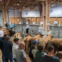 Les vingt lots sélectionnés pour la vente aux enchères Aubrac Prestige XVIII, organisée par la SARL Nolorgues.