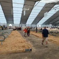 Hall 3 bovins viande au Sommet de l'élevage 2023