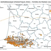 Cartographie de la zone réglementée au titre de la MHE à partir des foyers du sud-ouest (à la date du 20 octobre 2023)