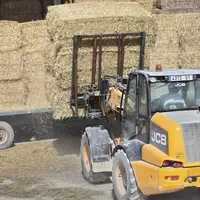 stockage de paille d'orge dans une exploitation agricole en Champagne. manutention de balles cubiques. valet de ferme JCB dans la cour. balle cubique.