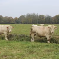 Il est important de se fixer des objectifs d’amélioration et de rester constant dans ses choix.
