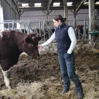 Parmi les éleveurs de bovins viande de plus de 40 ans, un sur quatre est une éleveuse. En revanche, chez les moins de 40 ans, les femmes ne représente