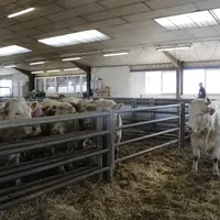 Dans un contexte de forte augmentation des charges de fonctionnement des entreprises et des contraintes administratives, la Fédération française des c