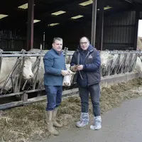Boiteries en bovins viande : Avoir plusieurs cordes à son arc