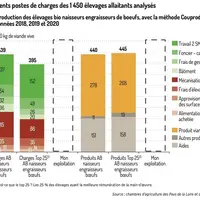 Graphique : Les différents postes de charges des 1 450 élevages allaitants analysés - Coûts de production des élevages bio naisseurs engraisseurs de b