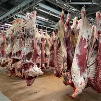 Carcasses de bovins suspendues dans un abattoir
