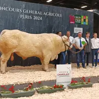 concours général agricole charolaise salon de l'agriculture 2024