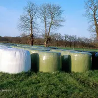 Bovins viande / alimentation / récolte des fourrages / enrubannage / stockage vertical de balles enrubannées / un dôme se forme au sommet de la balle
