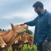 éleveur bovin en bio avec ses vaches de race Limousine