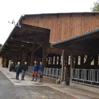 L’objectif du projet était de concentrer l’activité sur un seul site pour le troupeau mère. De gauche à droite, Martine et Gérard Chassang, Vincent Ch