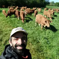 Changement climatique : « Le pâturage total contribue à régénérer mes sols »