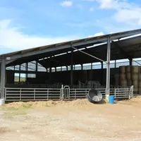 bâtiment d'élevage bovin viande dans les Pyrénées-Atlantiques. C'est un bâtiment ouvert, équipé de ventelles sur 2 façades et de filets brise-vent sur