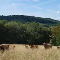 Changement climatique : ils ont déjà un coup d'avance