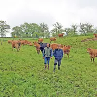 Benoit et Jean-Louis Théron, éleveurs bovins de limousines dans le Cantal, ont fait d'une pierre deux coup en clôturant le PTD avec les châtaigniers.