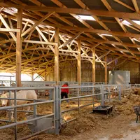 Ferme Les Bordes à Saint-Martin-Laguépie dans le Tarn chez Sandrine Chambert-Cayre.