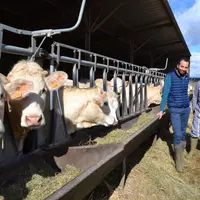 éleveurs jeunes bovins charolais