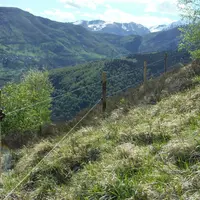 clôture permanente high tensile Hautes-Pyrénées