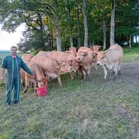 éleveur aubrac prairie