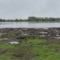 David Moisan, associé au Gaec Le Rocher Du Fresne à Sainte-Reine-de-Bretagne en Loire-Atlantique, 160 vêlages en race charolaise en système naisseur e