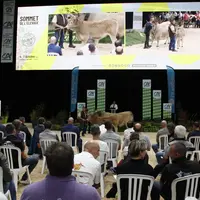 120 000 visiteurs sont attendus pour l'édition 2024 du Sommet de l'élevage à Cournon près de Clermont-Ferrand.