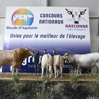 Photo d'archives des concours nationaux blonde d'Aquitaine et gasconne des Pyrénées dans le cadre du salon Les Pyrénéennes à Saint-Gaudens en 2021.