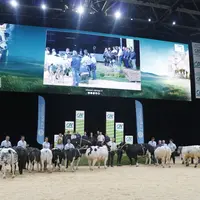 concours blanc bleu sommet de l'élevage 2024
