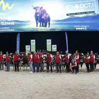 Concours rouge des Prés Sommet de l'élevage 2024