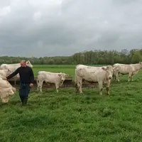 Maxime Couillard, situé à Jauzé dans la Sarthe, 169 ha de SAU, 55 vêlages en race charolaise, 1 600 m² de volailles de chair</