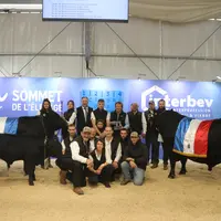 Eleveurs et les champions mâle et femelle du concours angus au sommet de l'élevage 2024