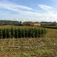 ensilage maïs sol lourd